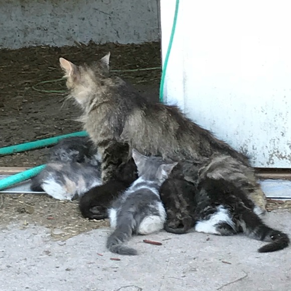 Meet your Posher, Christine - Picture 4 of 16